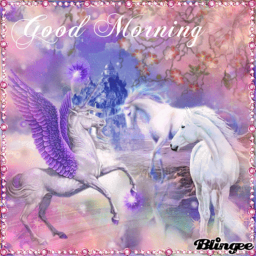 UNICORN FUN TIME!!!