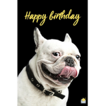 Happy birthday club :D