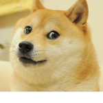 Doge United group.