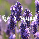 The S Squad! :D