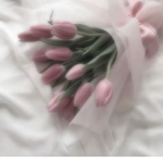 . - . flowers . - .