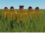 box fox armed forces