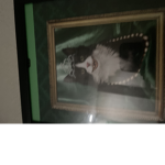 roblox cat mom dad
