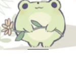 <~Froggy group~>