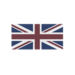 Anglo Servicings