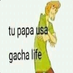 Os Noobzinhos