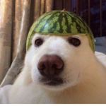 png sandias