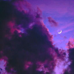 L o v l e y x