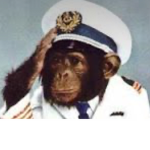 The Naval Monke Branch