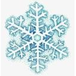 Neve Team