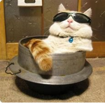 RELAX AND CHAT