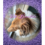 Pet Builds
