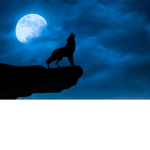 .-Wolf Pack-.