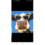 Zazou649