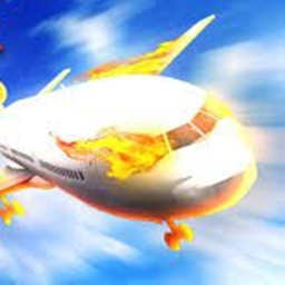 Survive The Plane Crash