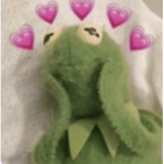 Kermit YUHZZ