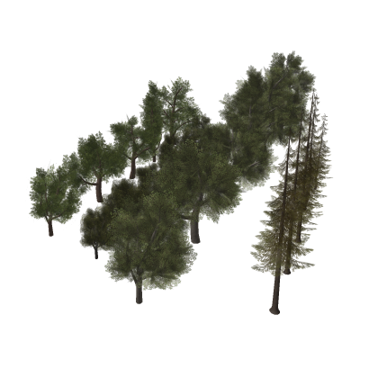 Tree Pack Realistic Forest Nature Trees Palm Dead