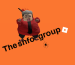 the snfor group