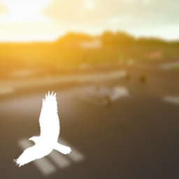 Flight Academy