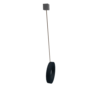 Tire Swing (CANT SIT BUT SWINGS)