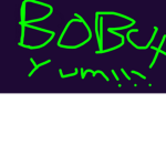 The B O B U X co.