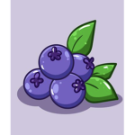 Redha Blueberries