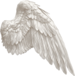 Guardian Wings