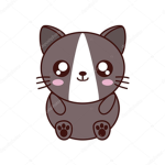 GATITO_14