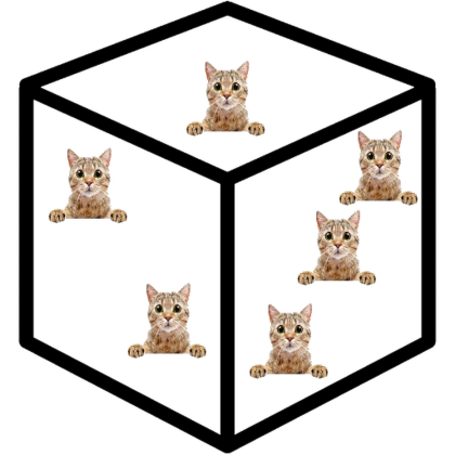 Random Cats