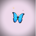StrawberryButterflys