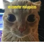 uisp