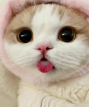 XxgabsproductionsXx