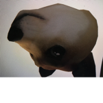 Doge Lord’s Army