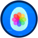 Picture App Egg