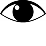 The Eye Understands