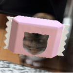 Your pet cat