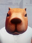 Capybara paradise