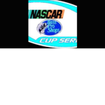 Bass pro racing