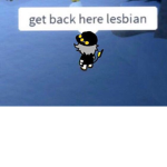 [ - CrowClan NPC Hunting ]