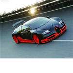 (POC)The Peeps Obsessed with cars(POC)
