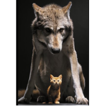 WolvesAndCats8