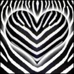 Zebra Fans!