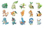 POKEMON LOVERZ BY DAKOTAISCOOL223!!!!