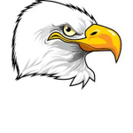 The Eagles.
