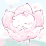 こにちわ！！