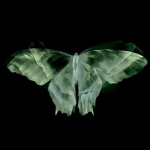cntrlgames
