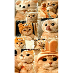 Love. Cats