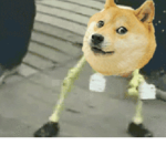 Doge's group XD :V