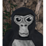 Gorilla tag group for pro players