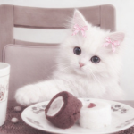 kitsey